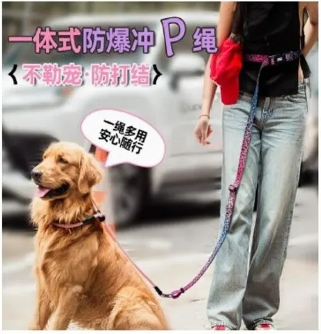 All-in-One Training P-Leash