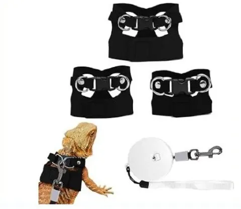 Lizard Harness & Leash