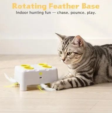 Cheese Box Interactive Cat Toy