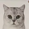 Yiyi