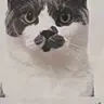 Fugui