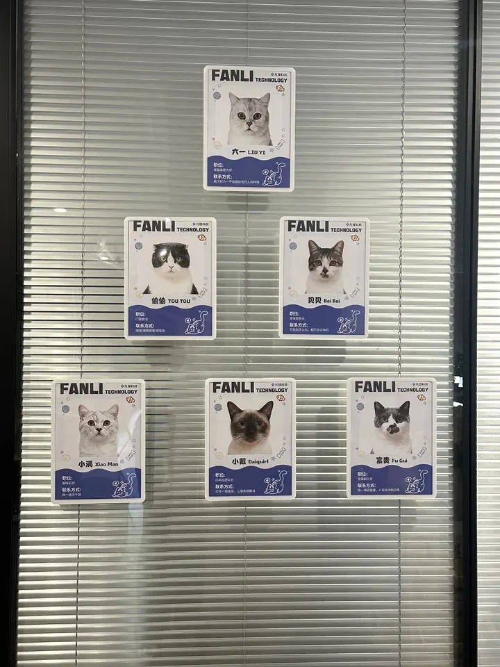 AVECYCL pet employee ID wall